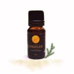 Eterično ulje Zimzelen