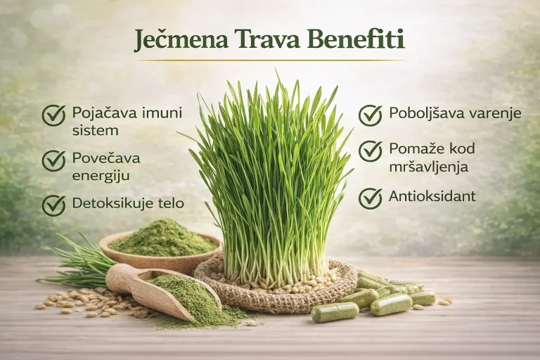 Ječmena trava benefiti – detoksikacija organizma i bolja probava