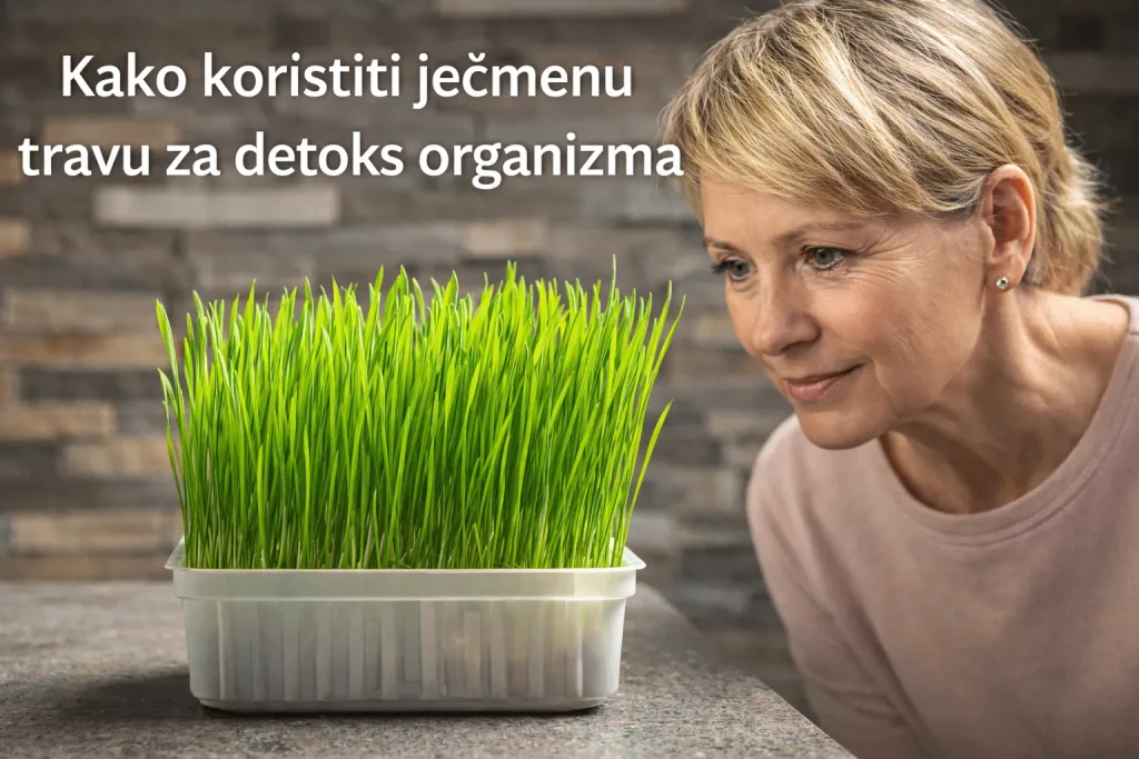 Žena gaji ječmenu travu 